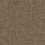 Coconut Shell